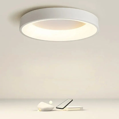 Modern LED Ceiling Lamp in Scandinavian Style