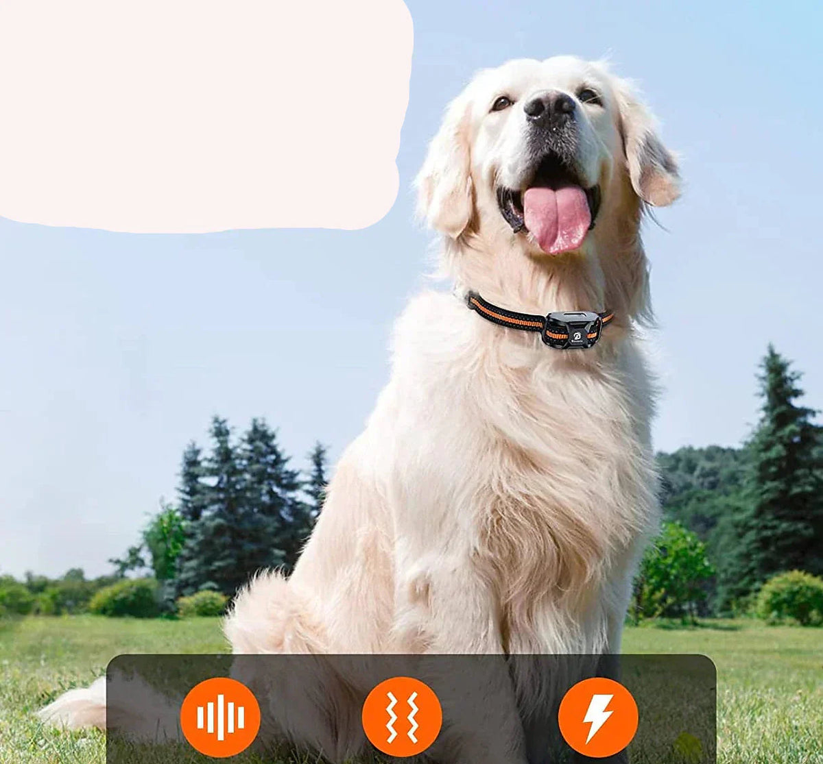 Long Range Dog Training Collar - 1000m Waterproof