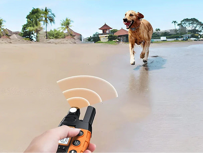 Long Range Dog Training Collar - 1000m Waterproof