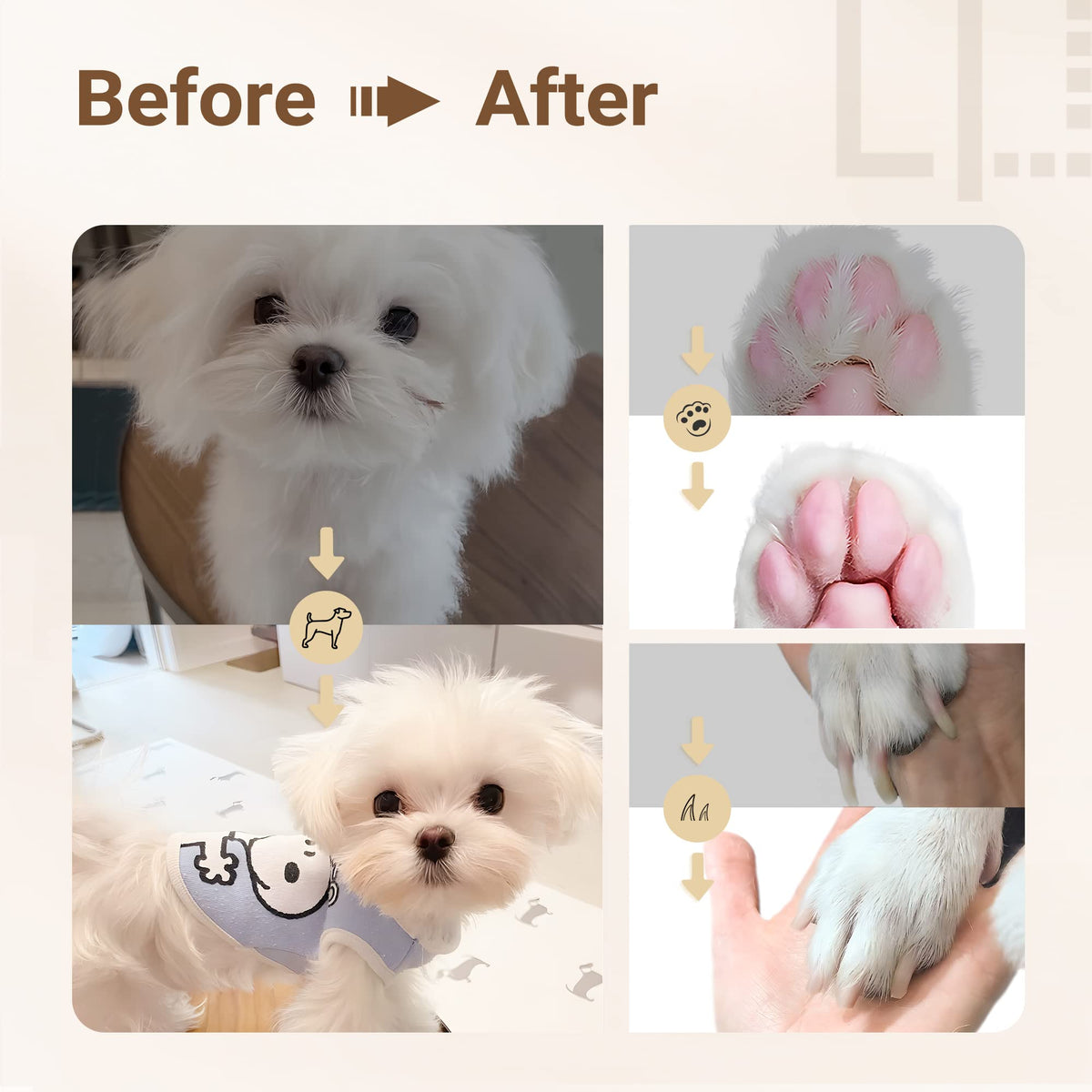 Pet Grooming Kit