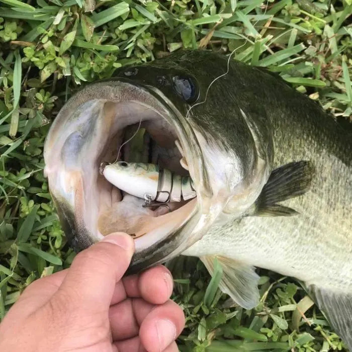 HOT SaleBionic Lure —Catch Big Fish Fast!