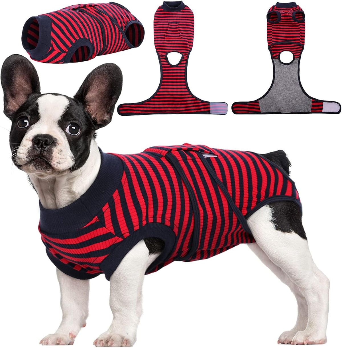 Quick Recovery Suit for Pets – Healing After Surgery