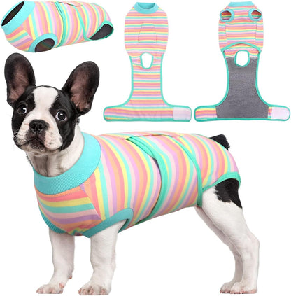 Quick Recovery Suit for Pets – Healing After Surgery