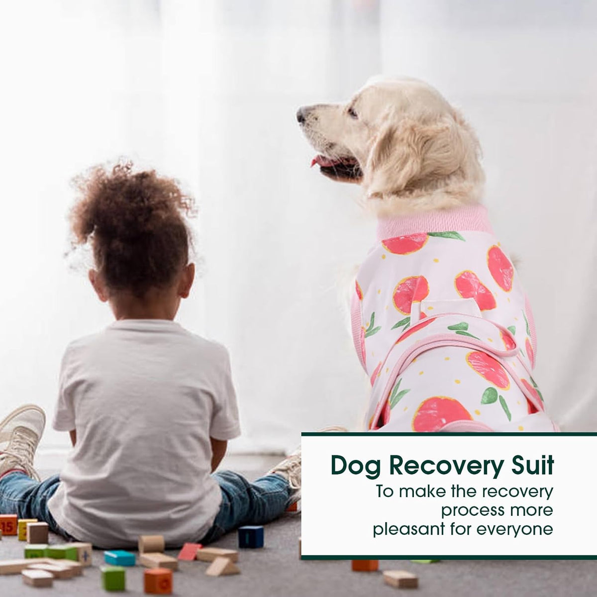 Quick Recovery Suit for Pets – Healing After Surgery
