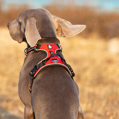 Secure Reflective Dog Vest | Adjustable Fit for Walks & Runs