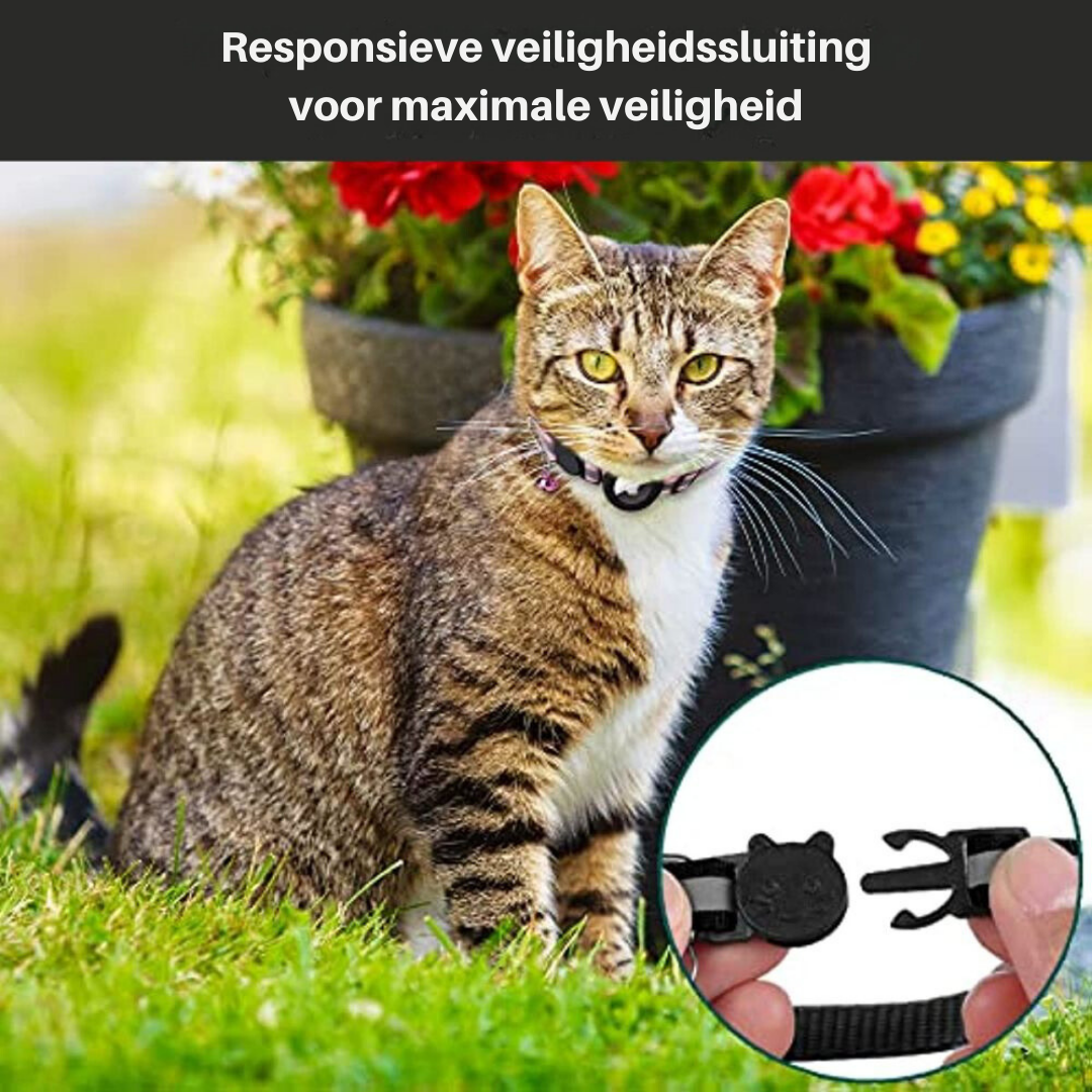 Reflective GPS Collar for Cats – Night Safety with Secure Closure