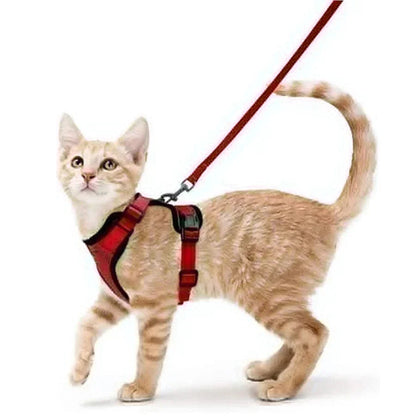 Soft and Safe Harnesses for Walking Your Cat