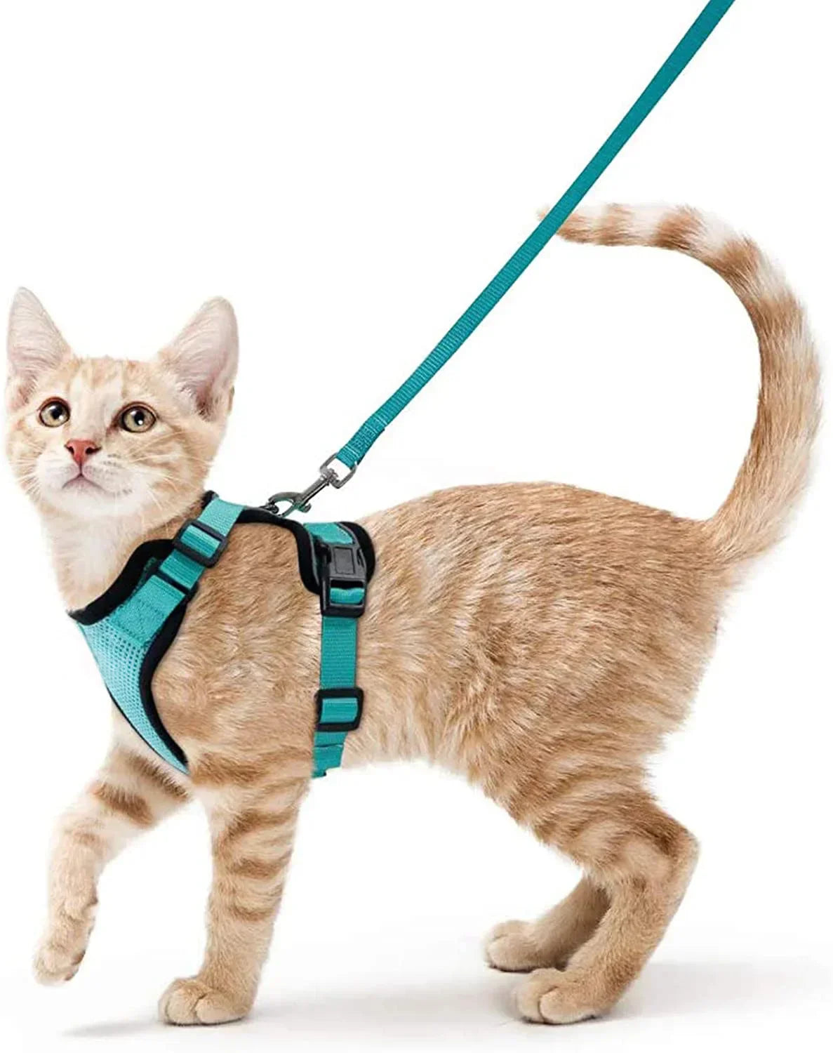 Soft and Safe Harnesses for Walking Your Cat