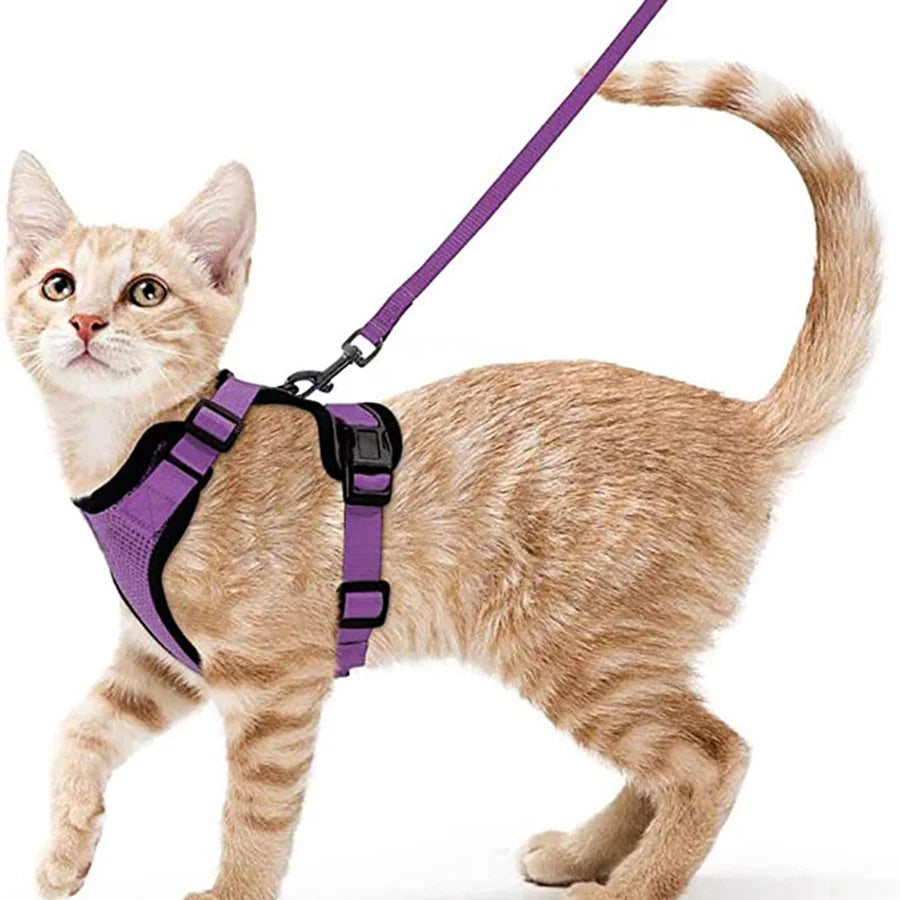 Soft and Safe Harnesses for Walking Your Cat