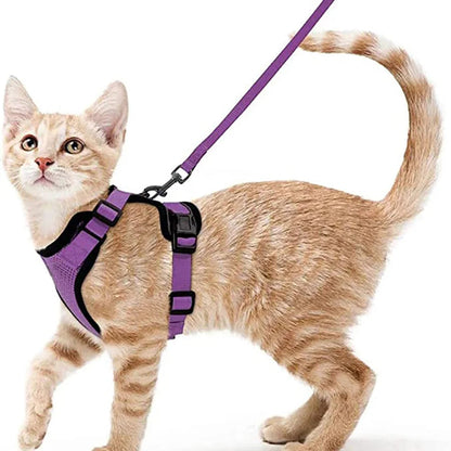 Soft and Safe Harnesses for Walking Your Cat