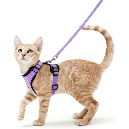 Soft and Safe Harnesses for Walking Your Cat