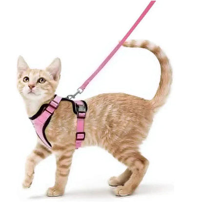 Soft and Safe Harnesses for Walking Your Cat