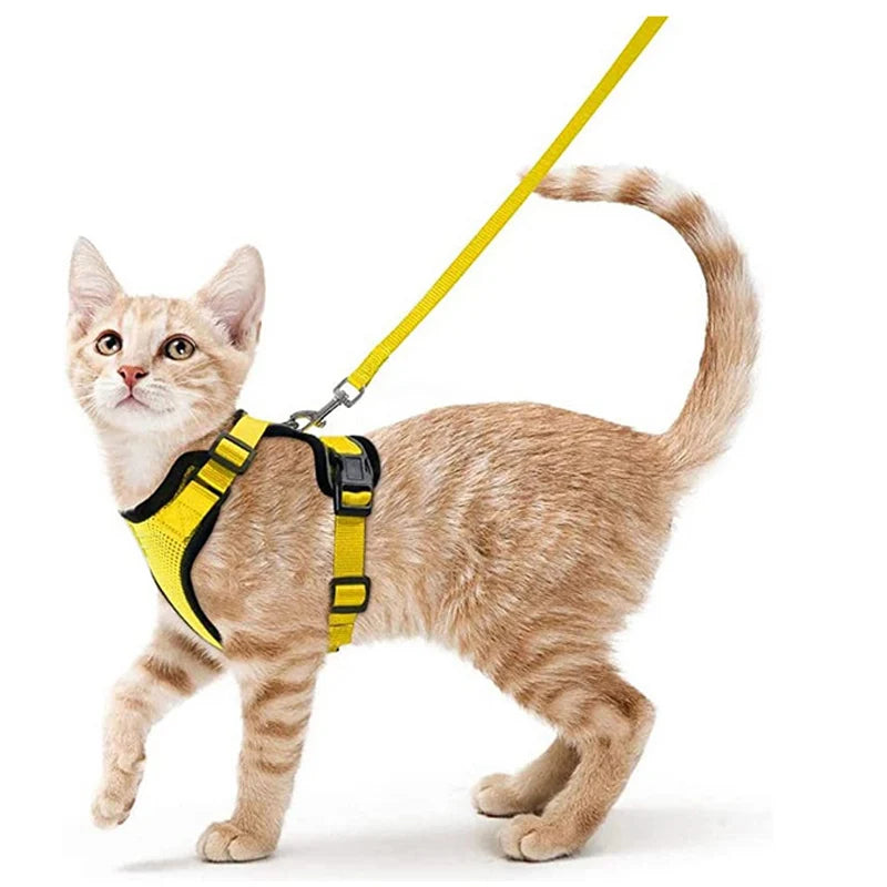 Soft and Safe Harnesses for Walking Your Cat