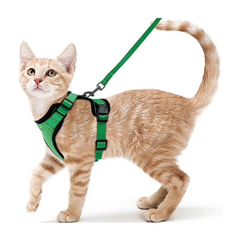 Soft and Safe Harnesses for Walking Your Cat