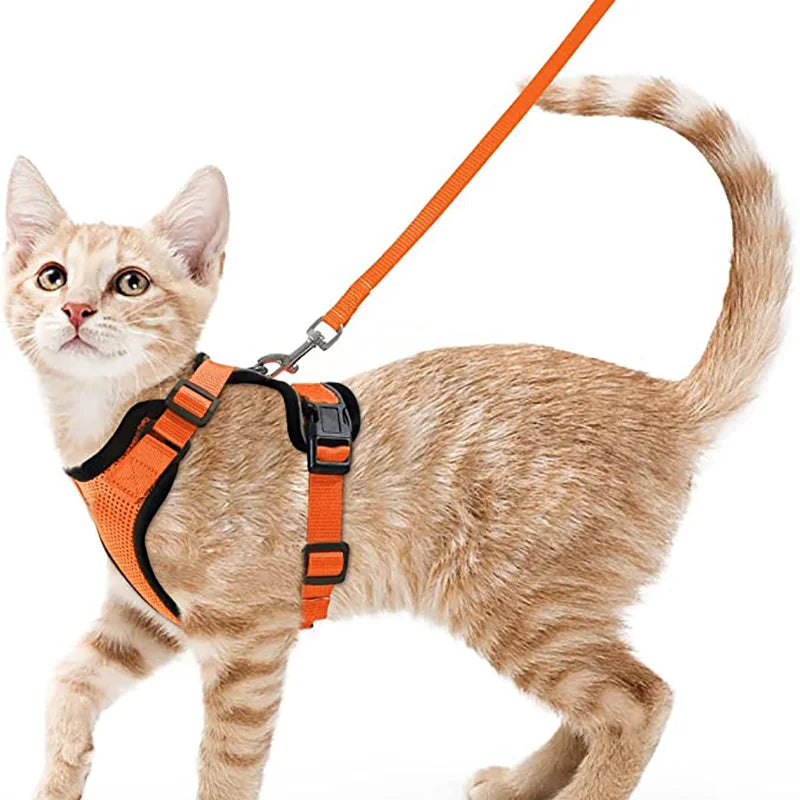 Soft and Safe Harnesses for Walking Your Cat
