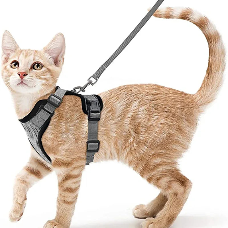 Soft and Safe Harnesses for Walking Your Cat