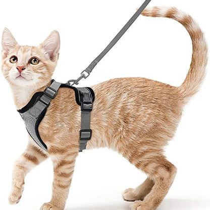 Soft and Safe Harnesses for Walking Your Cat