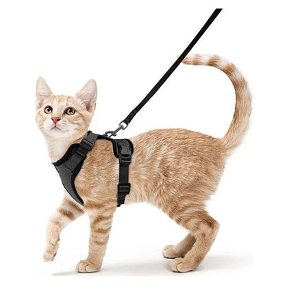 Soft and Safe Harnesses for Walking Your Cat
