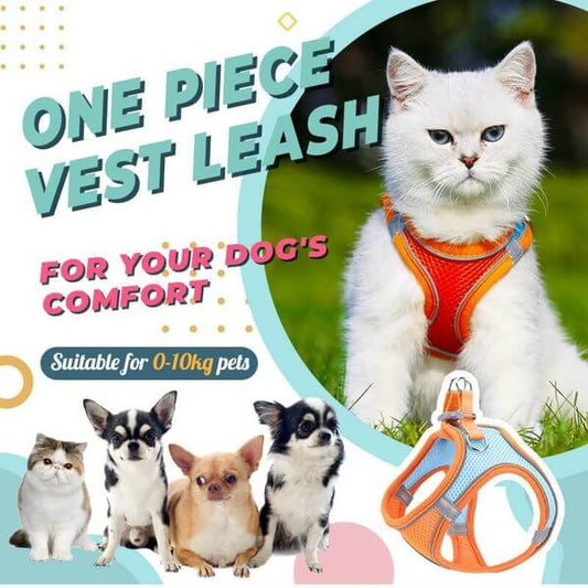 One Piece Pet Vest Leash – Adjustable & breathable mesh