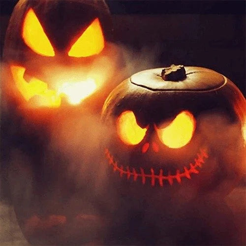 2026 Sale — Over 15,400 Sold! 12 LED light Ultrasonic Mist Maker Fogger