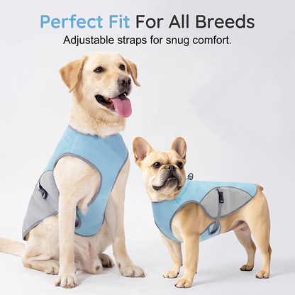 Dog Cooling Vest Harness For Summer – perfect for walks, beach or travel