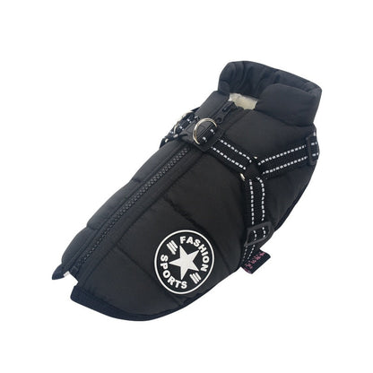 Pet Winter Coat for Outdoor Adventures