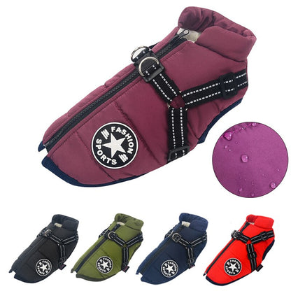 Pet Winter Coat for Outdoor Adventures