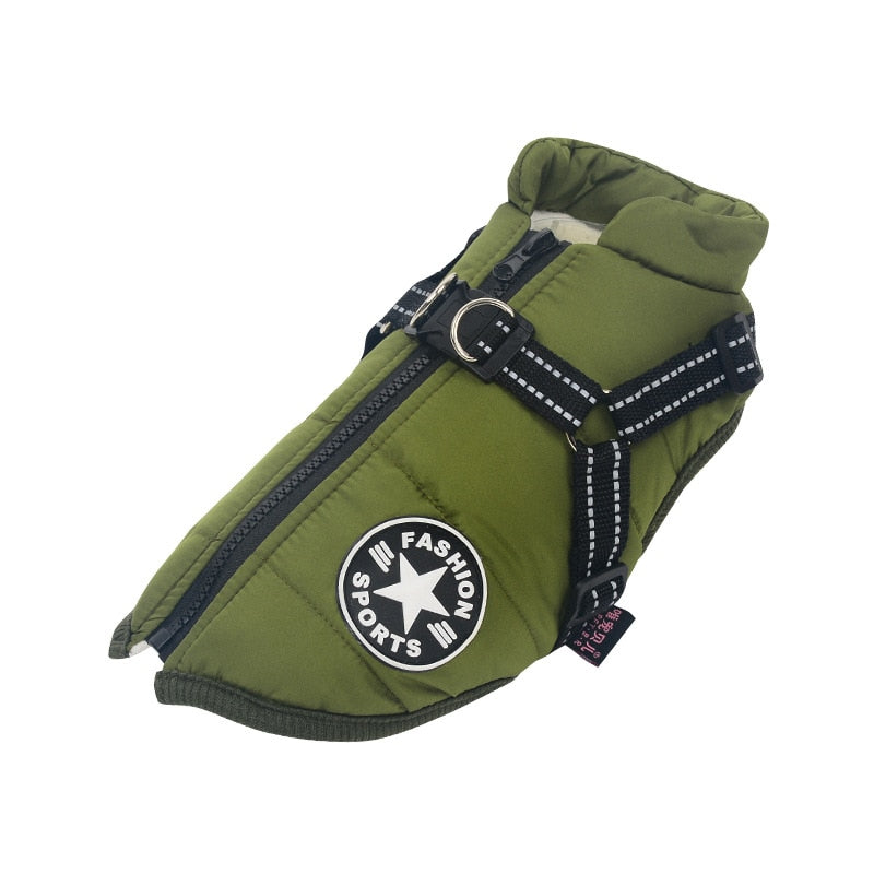 Pet Winter Coat for Outdoor Adventures
