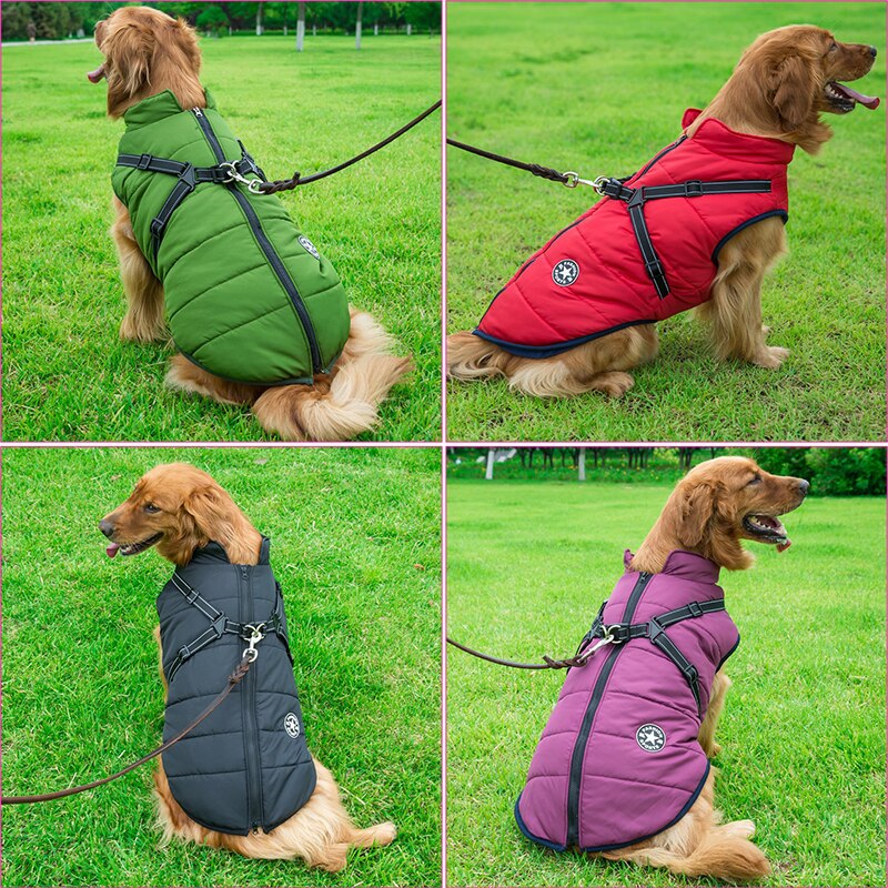 Pet Winter Coat for Outdoor Adventures