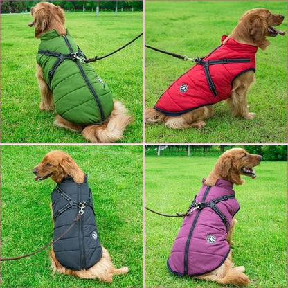 Pet Winter Coat for Outdoor Adventures