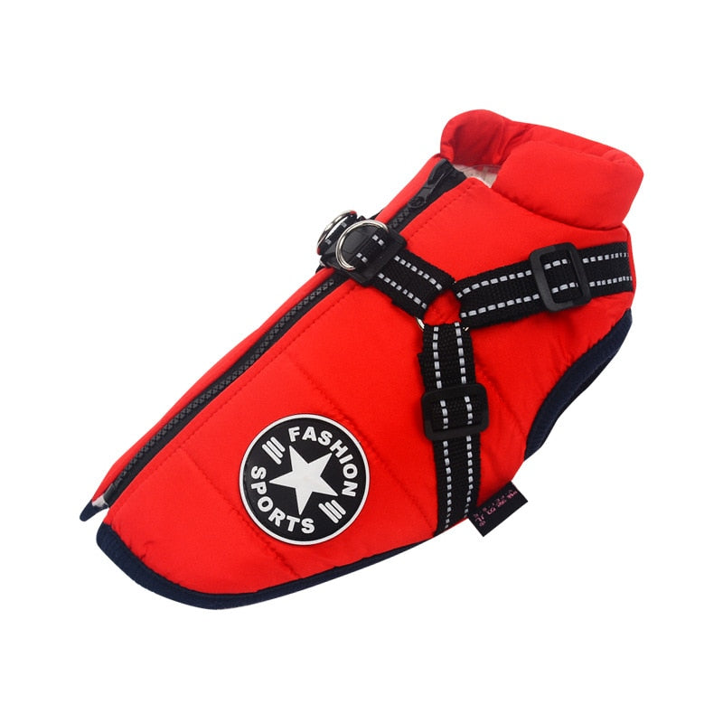 Pet Winter Coat for Outdoor Adventures