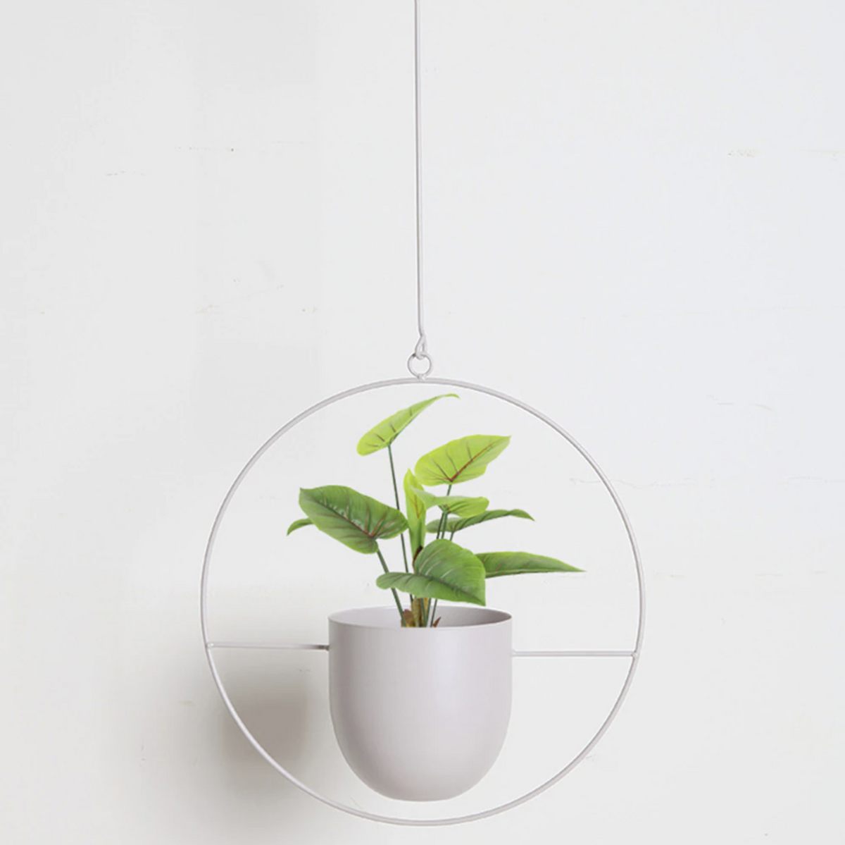 Modern plant holder with sleek minimalist form