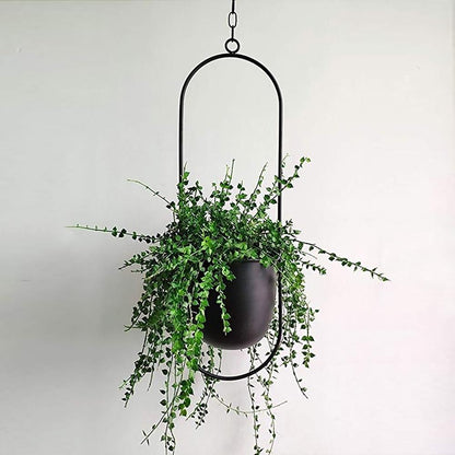 Modern plant holder with sleek minimalist form