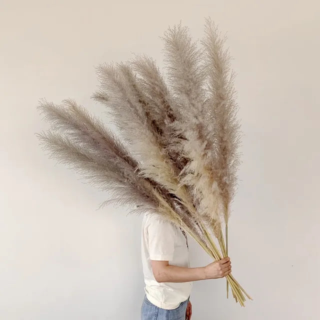 Sylara Dried Pampas Grass for Boho Home Decor and Wall Display