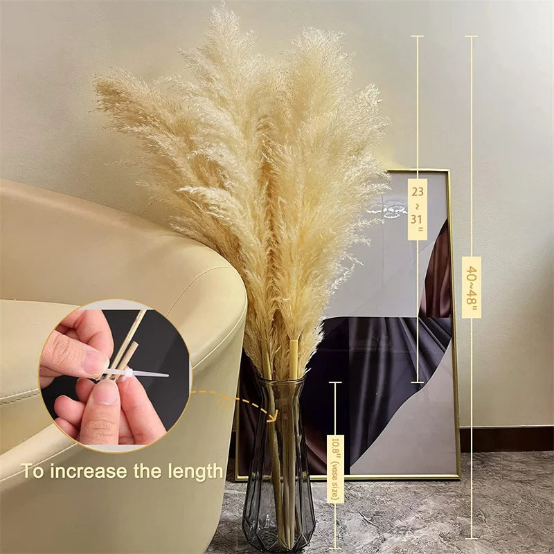 Sylara Dried Pampas Grass for Boho Home Decor and Wall Display