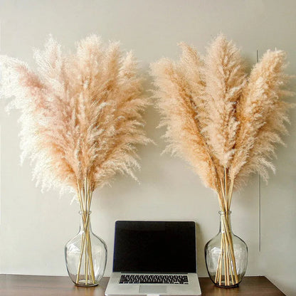 Sylara Dried Pampas Grass for Boho Home Decor and Wall Display