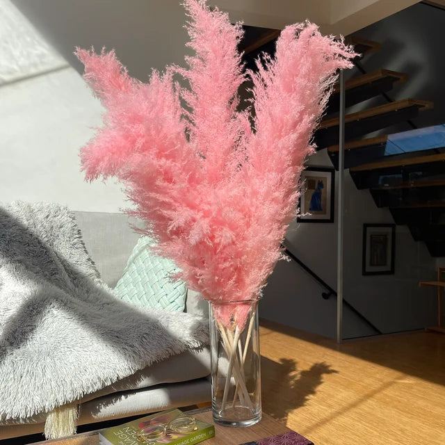 Sylara Dried Pampas Grass for Boho Home Decor and Wall Display