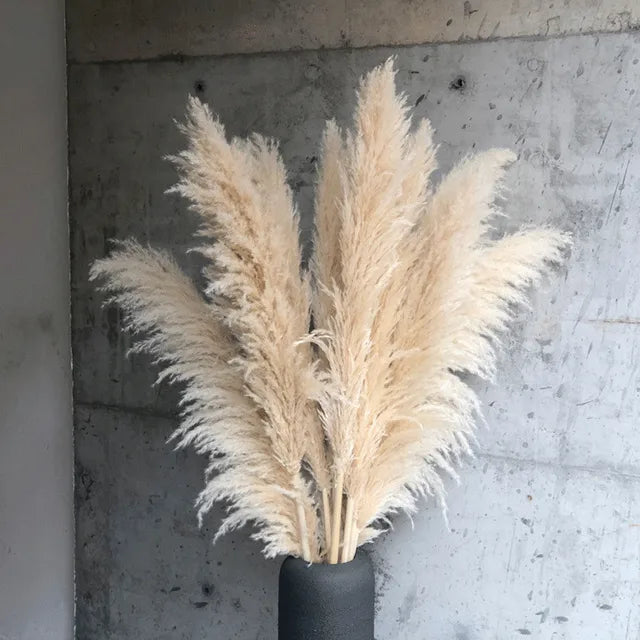 Sylara Dried Pampas Grass for Boho Home Decor and Wall Display