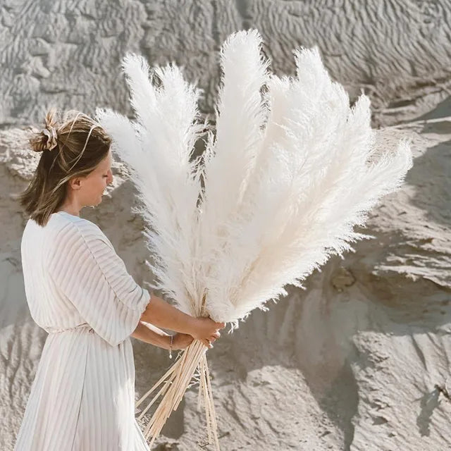Sylara Dried Pampas Grass for Boho Home Decor and Wall Display