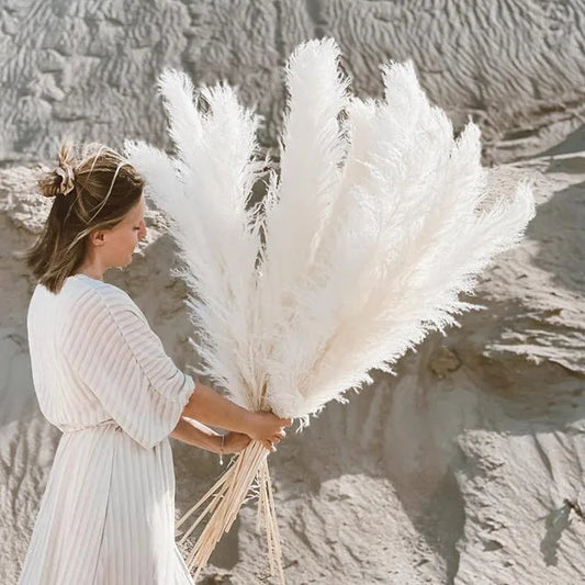 Sylara Dried Pampas Grass for Boho Home Decor and Wall Display
