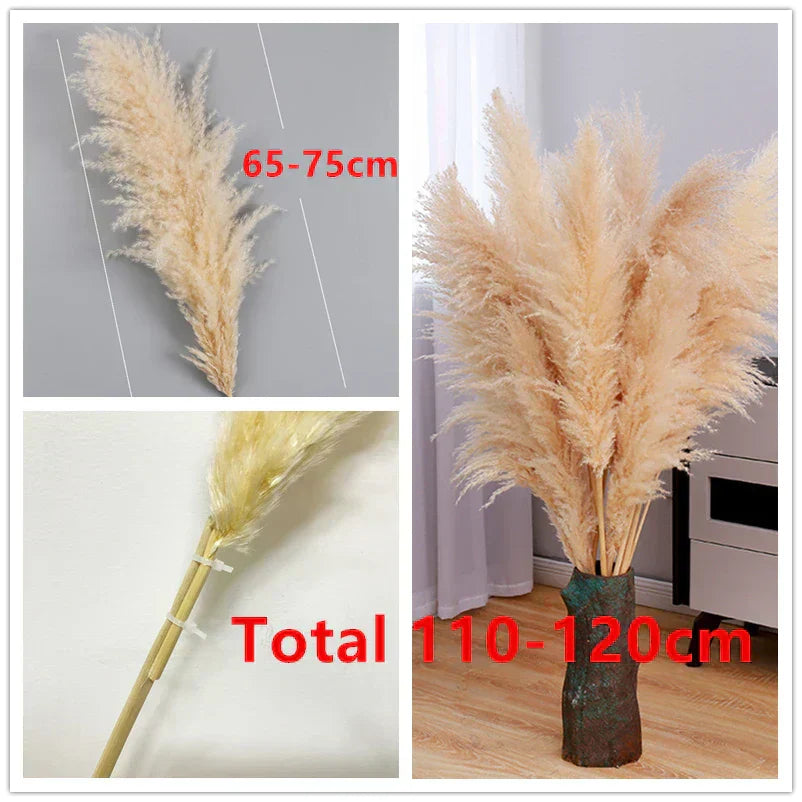 Sylara Dried Pampas Grass for Boho Home Decor and Wall Display
