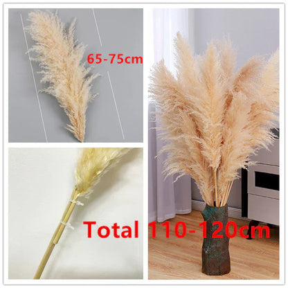Sylara Dried Pampas Grass for Boho Home Decor and Wall Display