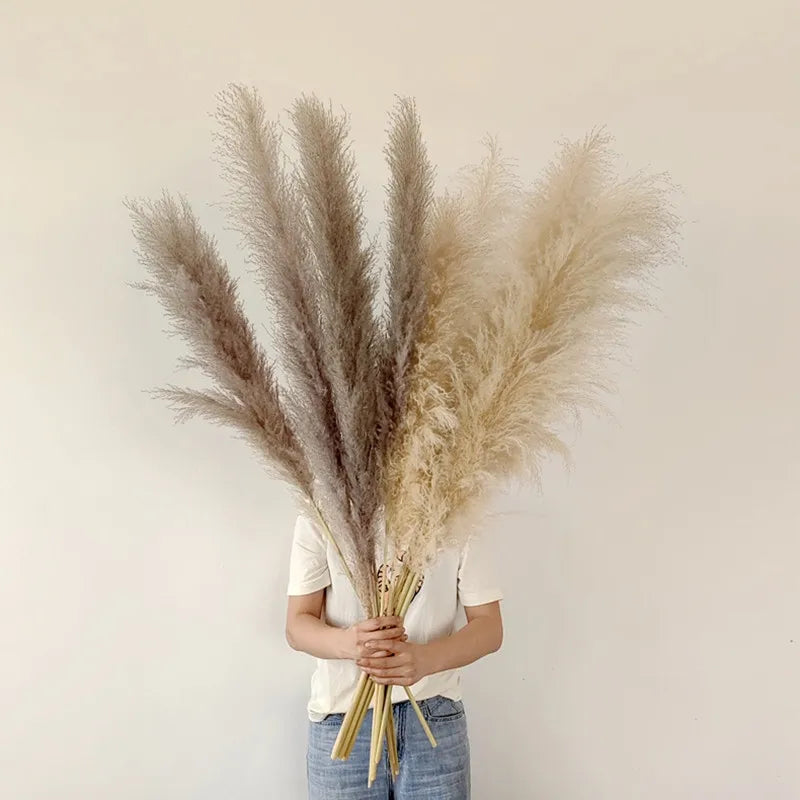 Sylara Dried Pampas Grass for Boho Home Decor and Wall Display