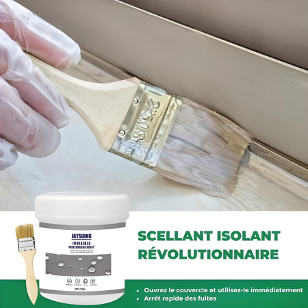 Seal leaks with this waterproof insulating spray + free brush