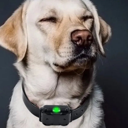 Waterproof Electronic Dog Training Collar with Remote Control