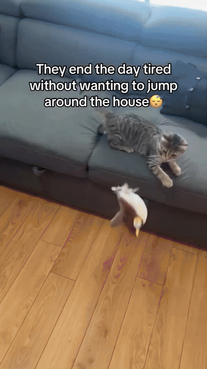 WHISKERFUN – Interactive Plush Toy for Active Cats